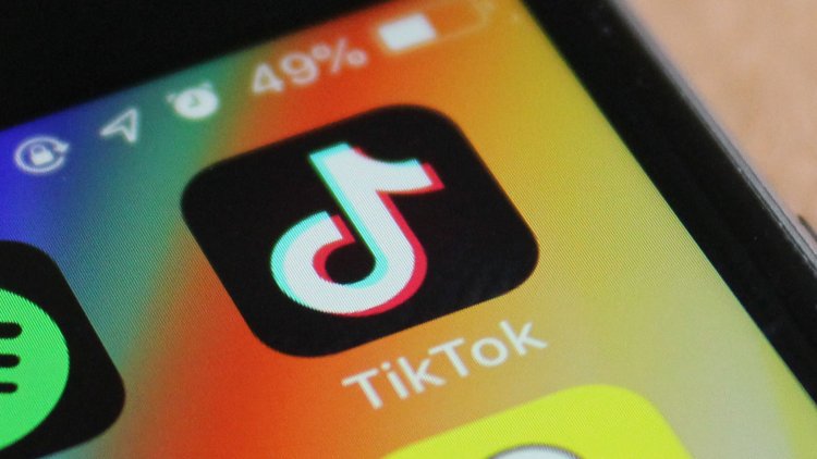 tiktok-algorithm-niche-profiles